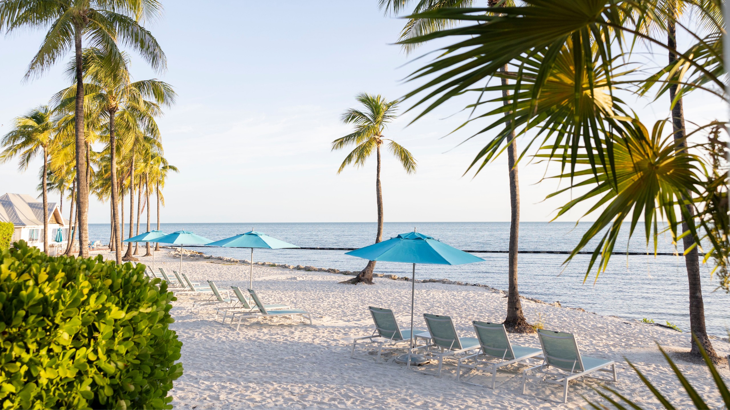 Chairs and beach umbrellas at the private beach of Tranquility Bay Beachfront Resort, in the Florida Keys.