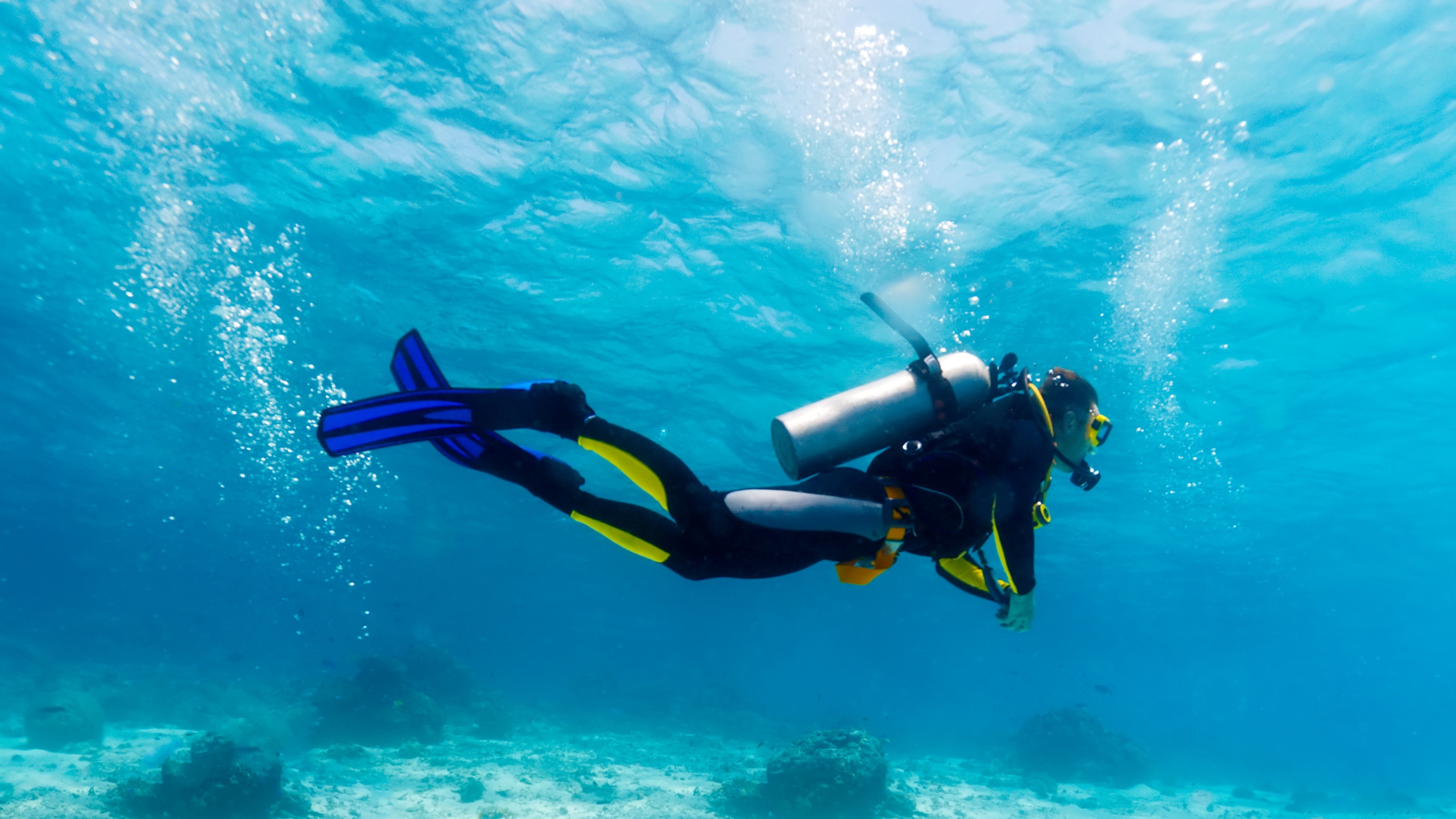 Scuba diving in the Florida Keys.
