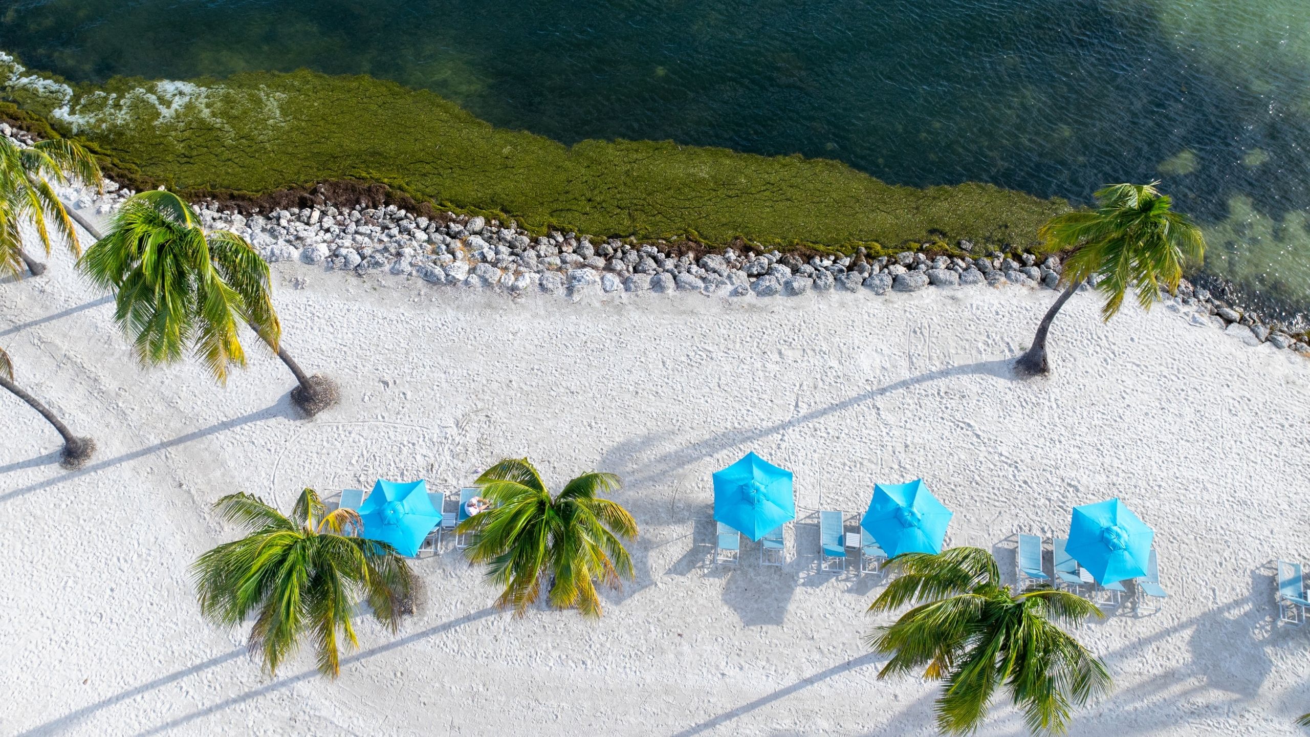 An aerial view of the private beach at Tranquility Bay Beachfront Resort, in the Florida Keys.