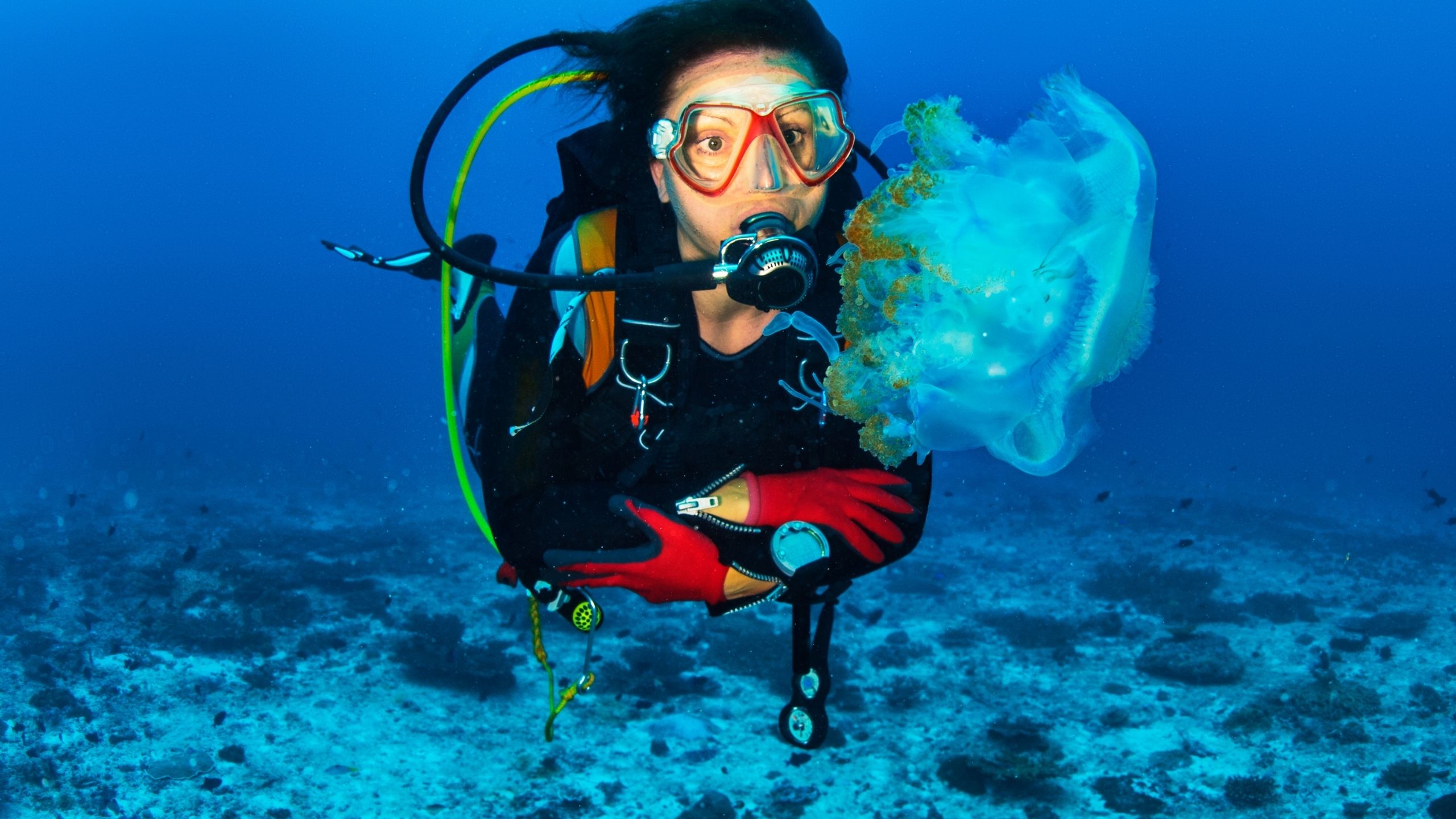 Diver swimming in the ocean.