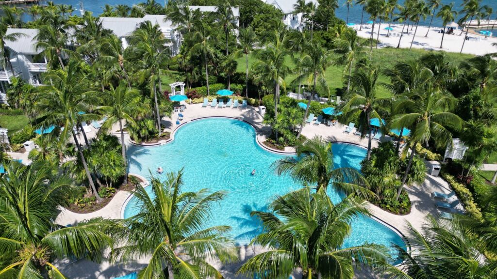 aerial view of large pool with lounge seating umbrellas and palm trees