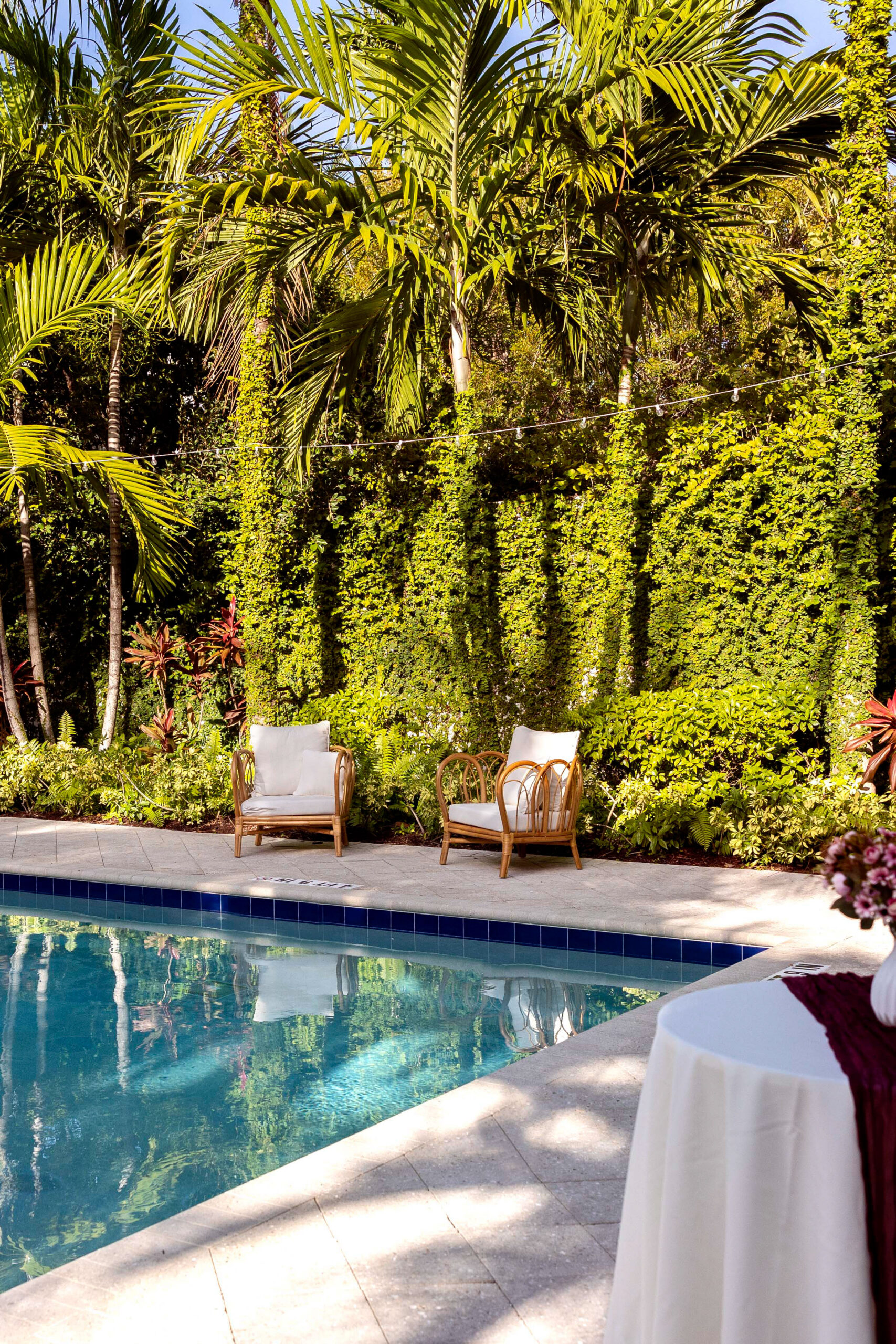 rattan poolside chairs with cushions set up beside the pool with palm trees in the background